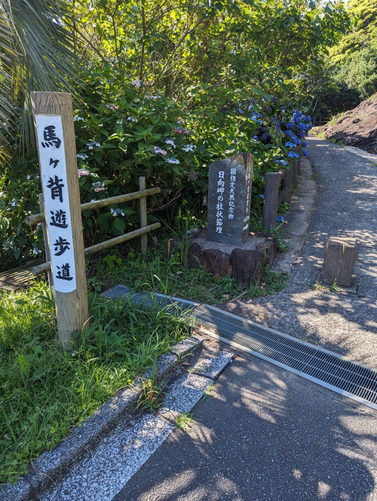 ロコナラクタから近くのおすすめ観光スポット4選！